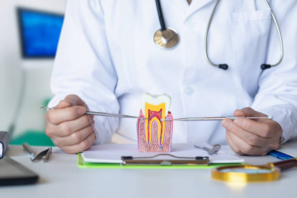 Best Emergency Treatment for Toothache in Tanaina, AK